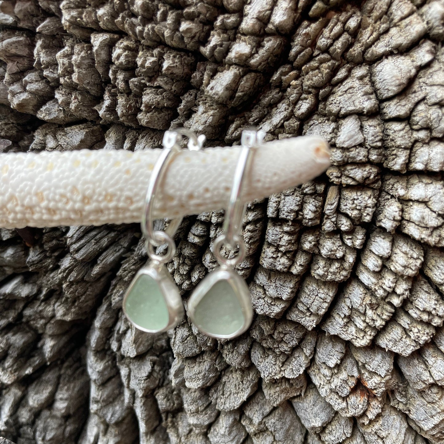 Sea Foam Green Sea Glass Hoop Earrings